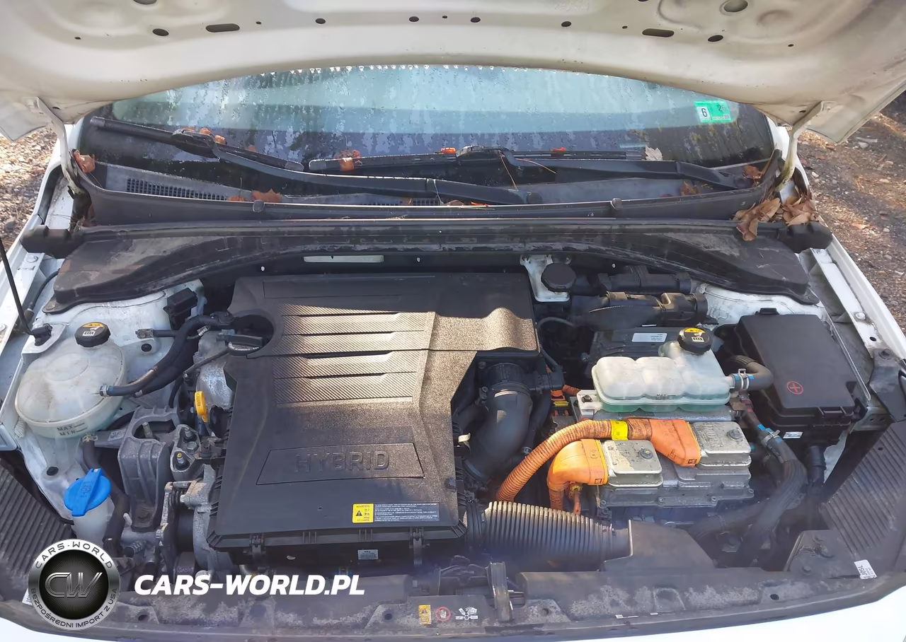 2019 Hyundai Ioniq Hybrid Blue VIN:KMHC65LC4KU110717 - 10