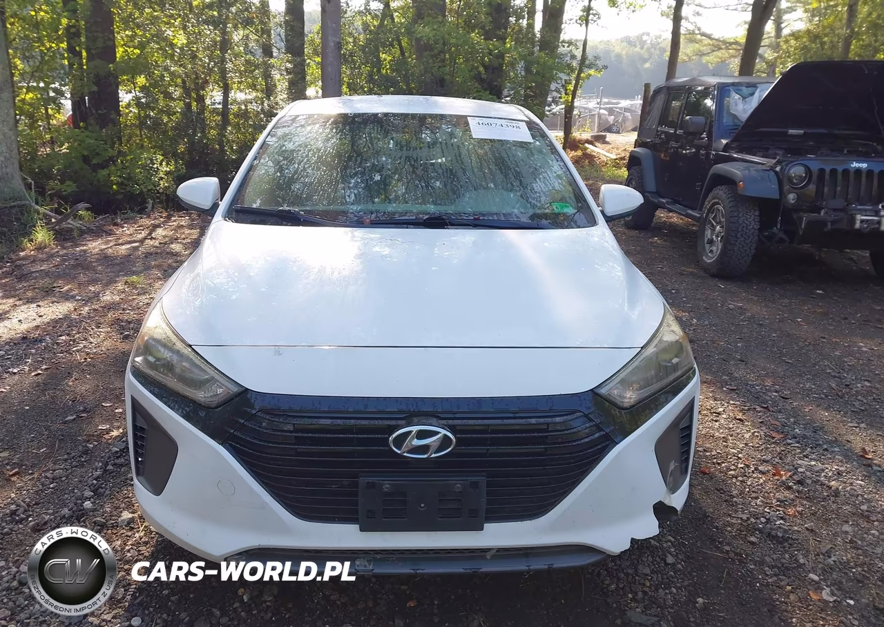 2019 Hyundai Ioniq Hybrid Blue VIN:KMHC65LC4KU110717 - 12