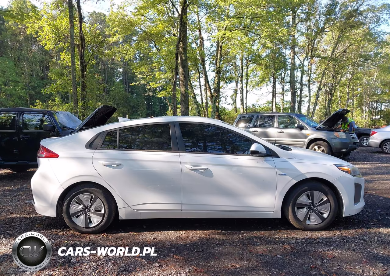 2019 Hyundai Ioniq Hybrid Blue VIN:KMHC65LC4KU110717 - 13
