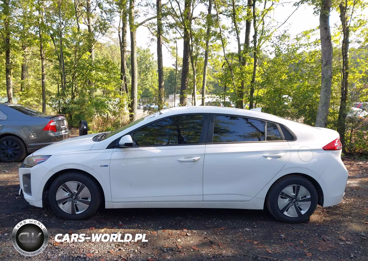 2019 Hyundai Ioniq Hybrid Blue VIN:KMHC65LC4KU110717 - 14