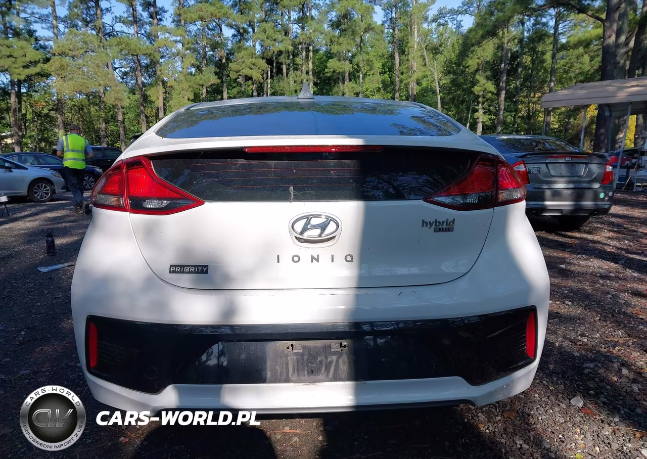 2019 Hyundai Ioniq Hybrid Blue VIN:KMHC65LC4KU110717 - 16