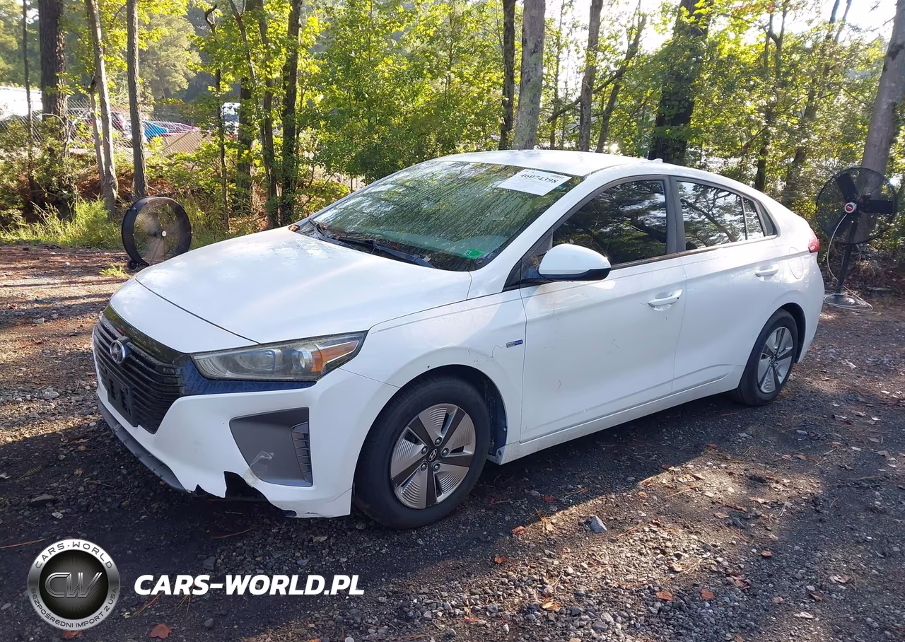 2019 Hyundai Ioniq Hybrid Blue VIN:KMHC65LC4KU110717 - 2