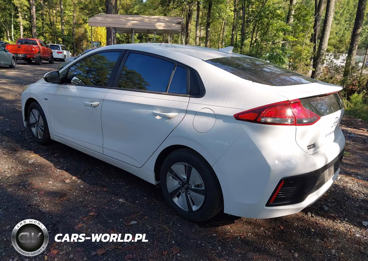 2019 Hyundai Ioniq Hybrid Blue VIN:KMHC65LC4KU110717 - 3