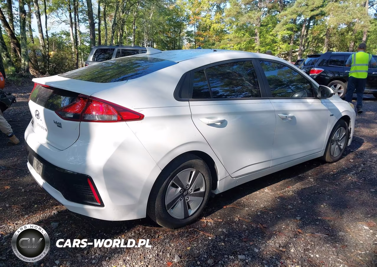 2019 Hyundai Ioniq Hybrid Blue VIN:KMHC65LC4KU110717 - 4