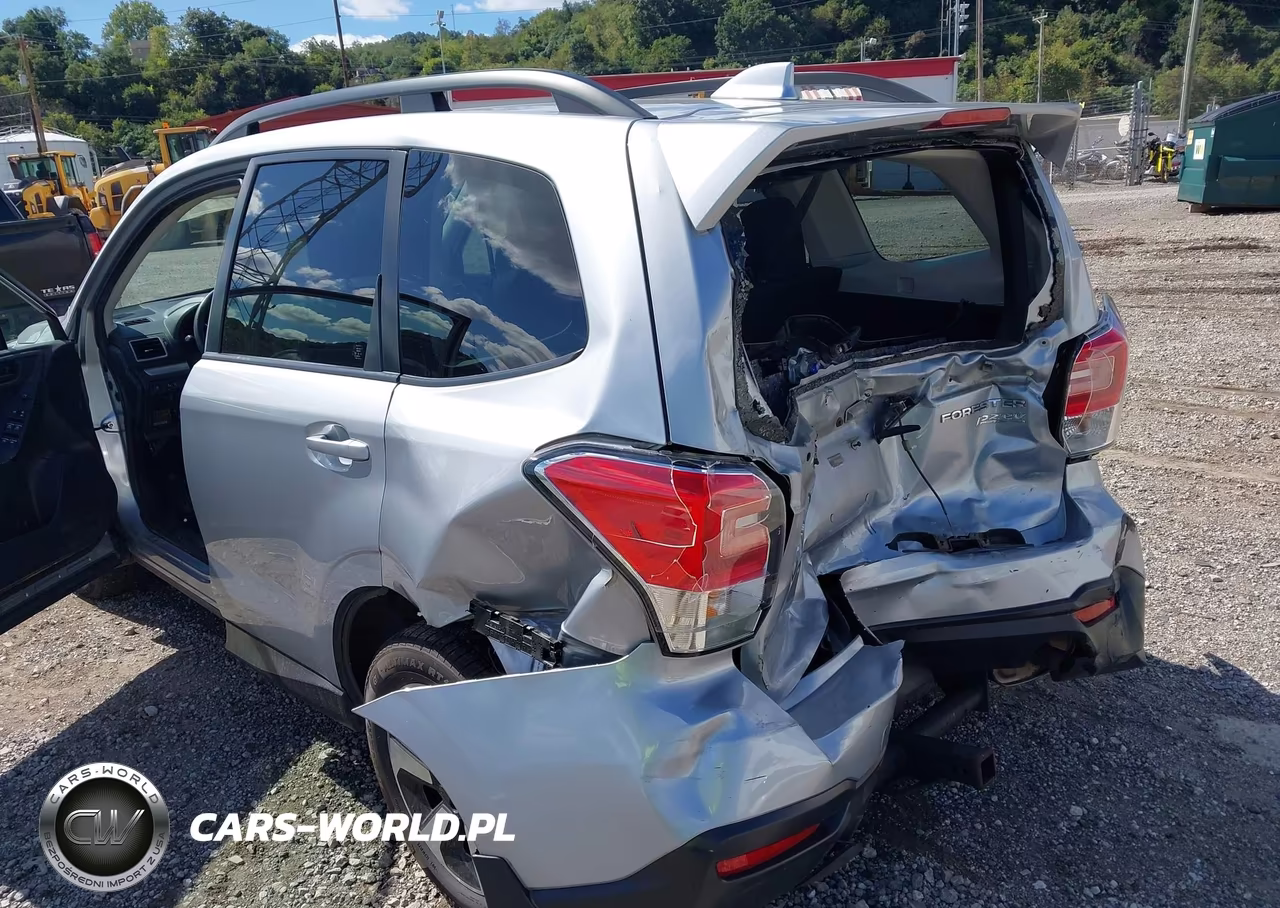 2017 Subaru Forester 2.5I Premium VIN:JF2SJAGC0HH433442 - 6
