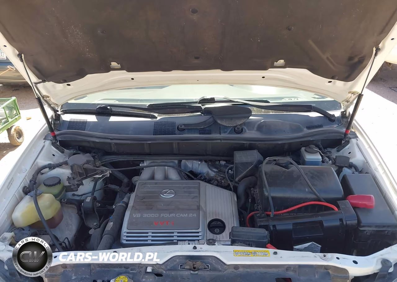 2000 Lexus Rx 300 VIN:JT6HF10U2Y0146879 - 10