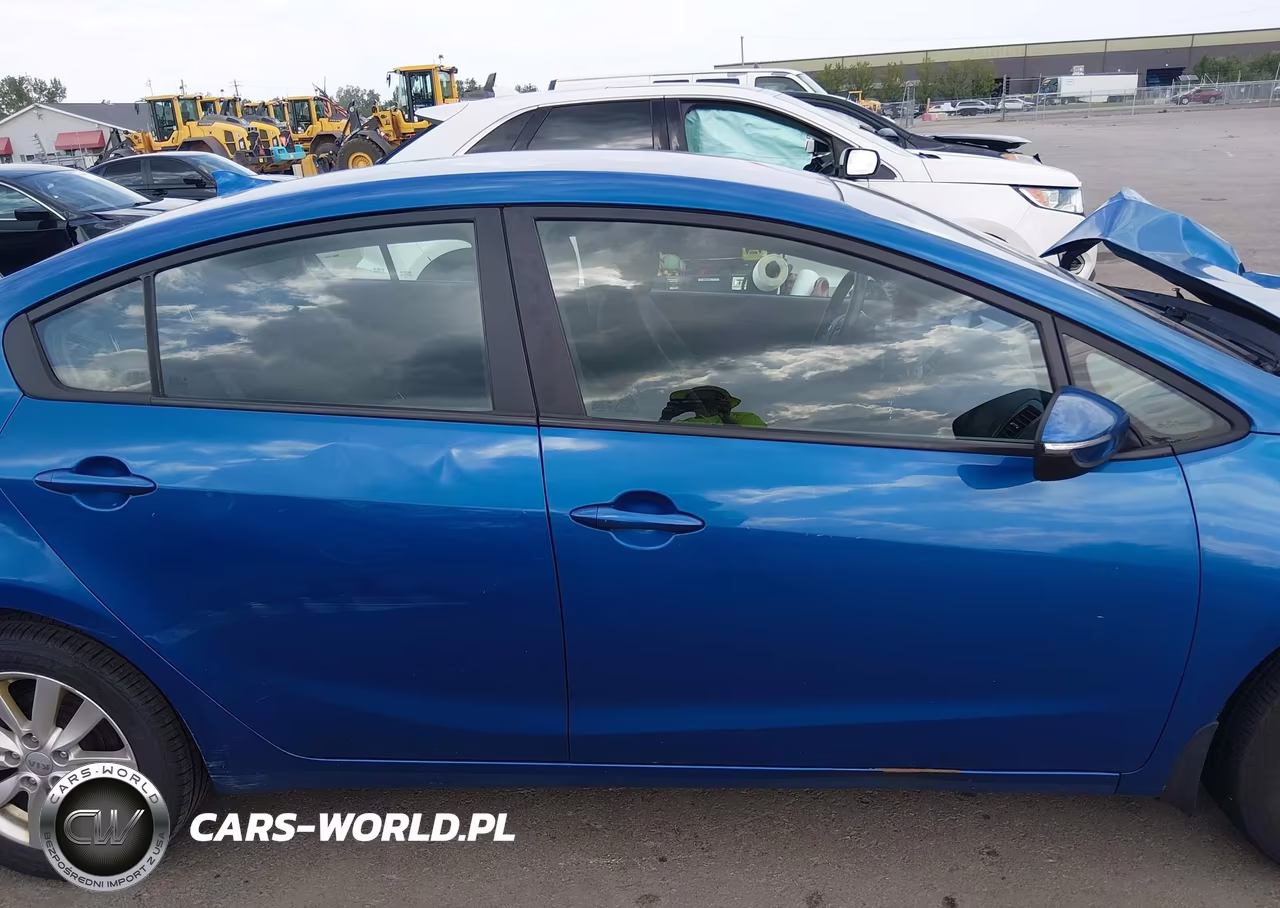 2014 Kia Forte Lx VIN:KNAFX4A62E5122091 - 13