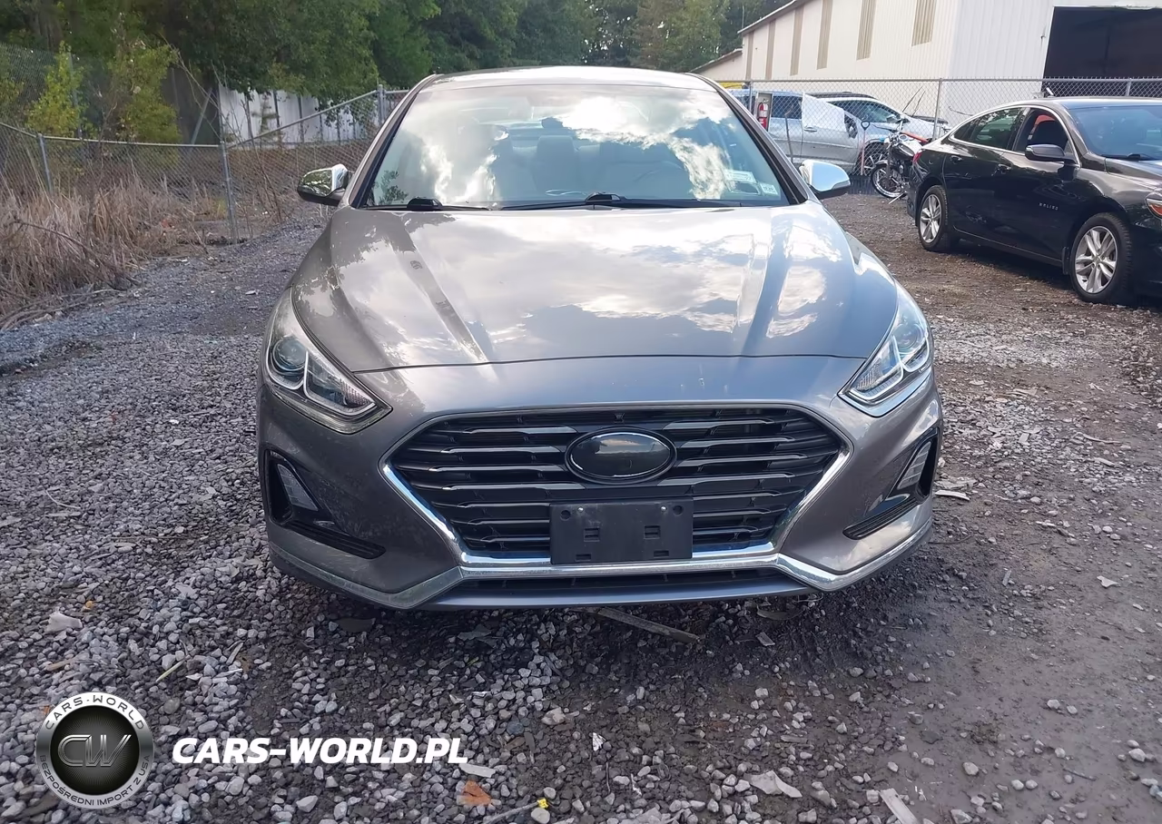 2019 Hyundai Sonata Se VIN:5NPE24AF1KH790117 - 12