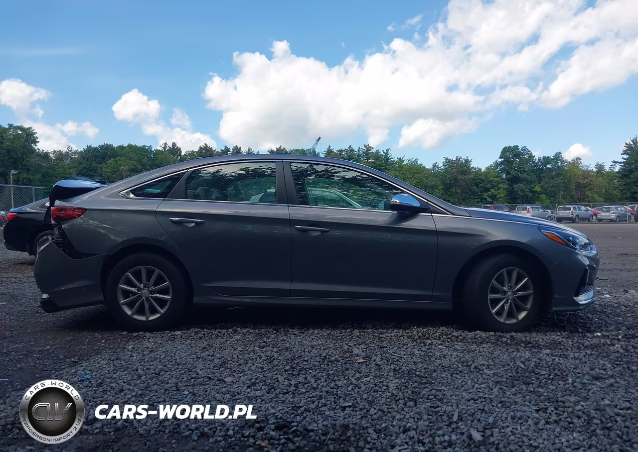 2019 Hyundai Sonata Se VIN:5NPE24AF1KH790117 - 13