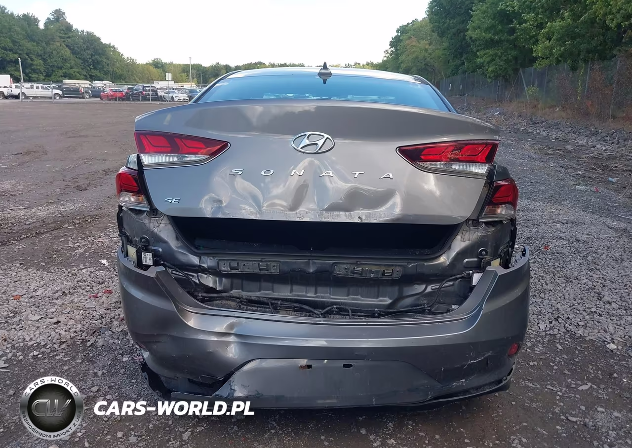 2019 Hyundai Sonata Se VIN:5NPE24AF1KH790117 - 16