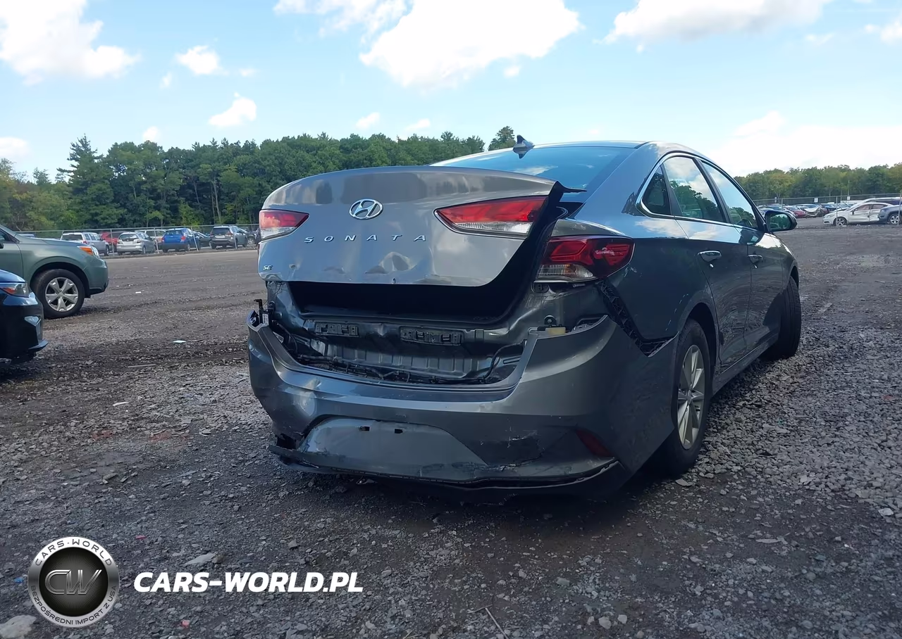 2019 Hyundai Sonata Se VIN:5NPE24AF1KH790117 - 17