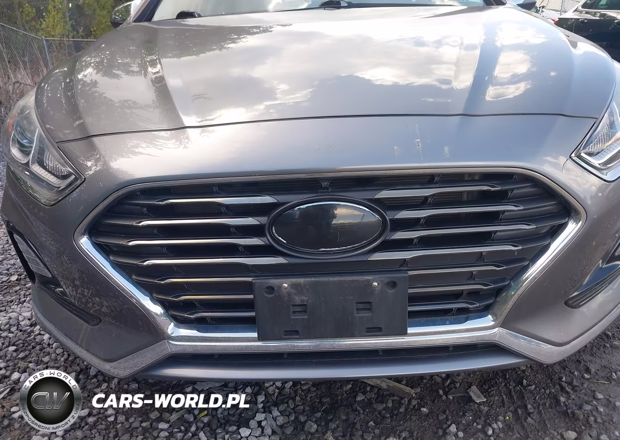 2019 Hyundai Sonata Se VIN:5NPE24AF1KH790117 - 18