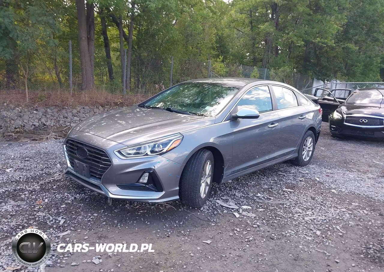 2019 Hyundai Sonata Se VIN:5NPE24AF1KH790117 - 2