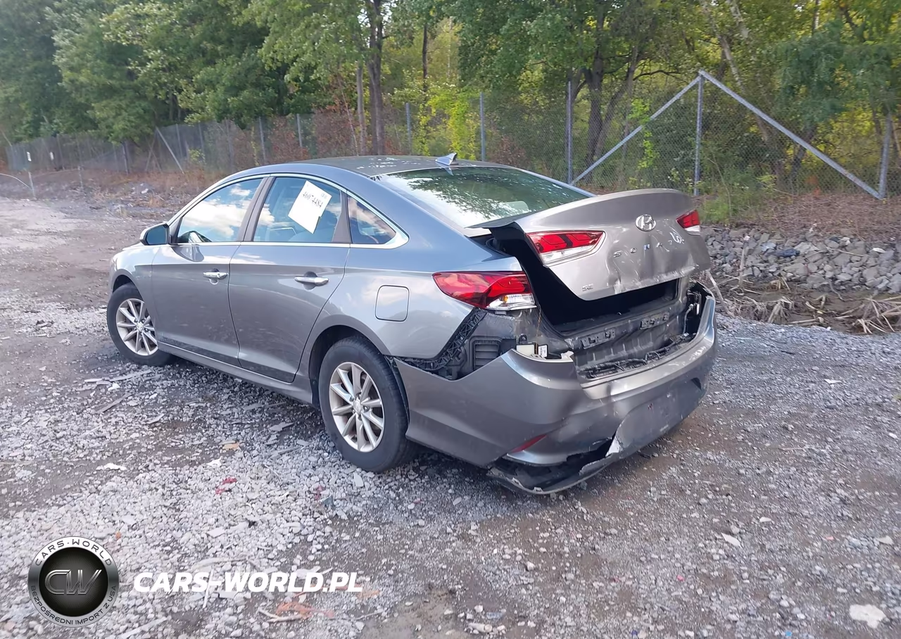 2019 Hyundai Sonata Se VIN:5NPE24AF1KH790117 - 3