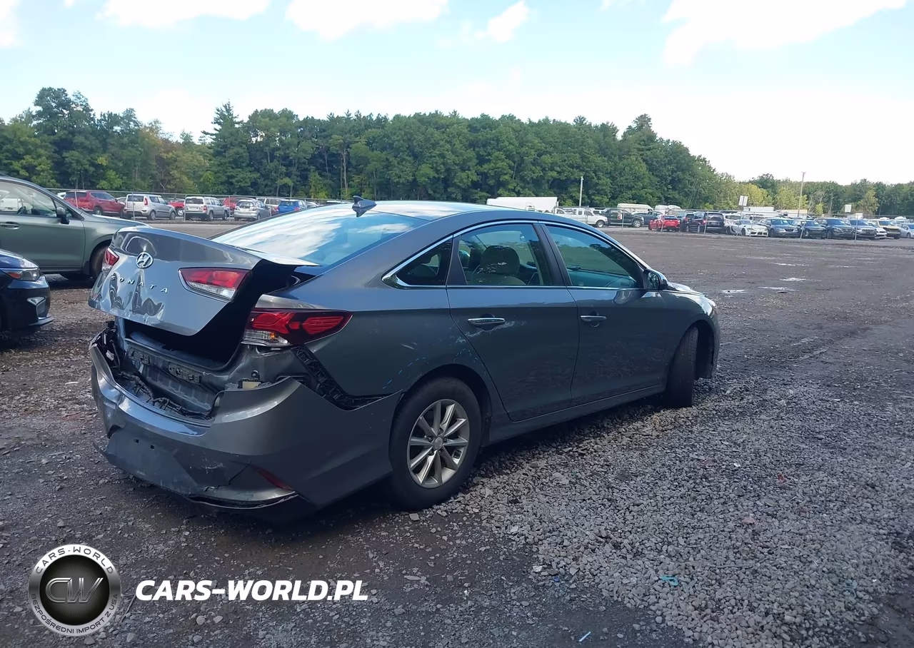 2019 Hyundai Sonata Se VIN:5NPE24AF1KH790117 - 4