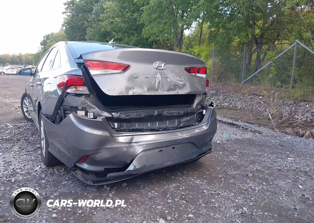 2019 Hyundai Sonata Se VIN:5NPE24AF1KH790117 - 6