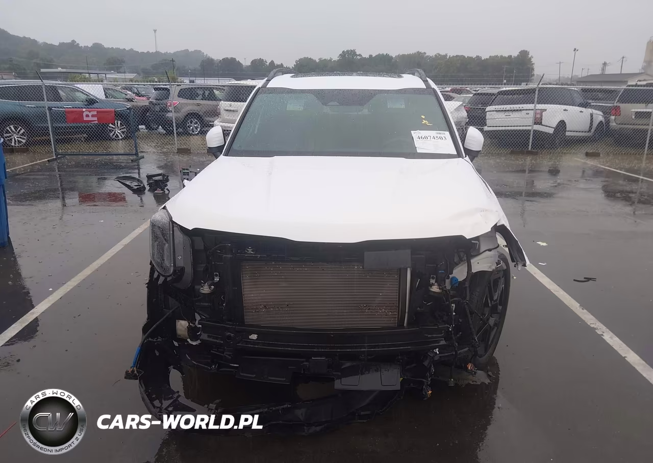 2024 Kia Telluride Sx X-Line VIN:5XYP5DGC4RG502833 - 13