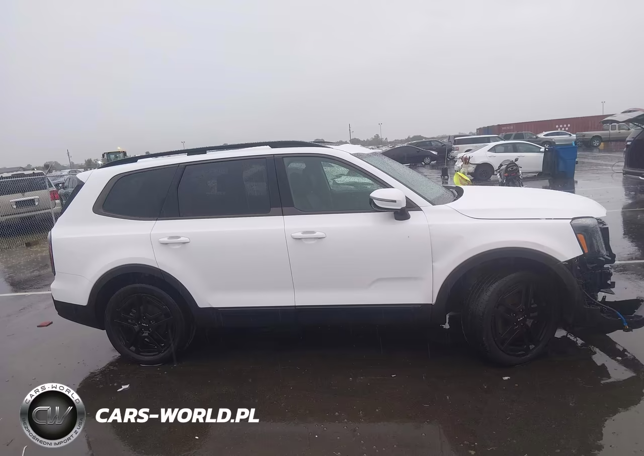 2024 Kia Telluride Sx X-Line VIN:5XYP5DGC4RG502833 - 14