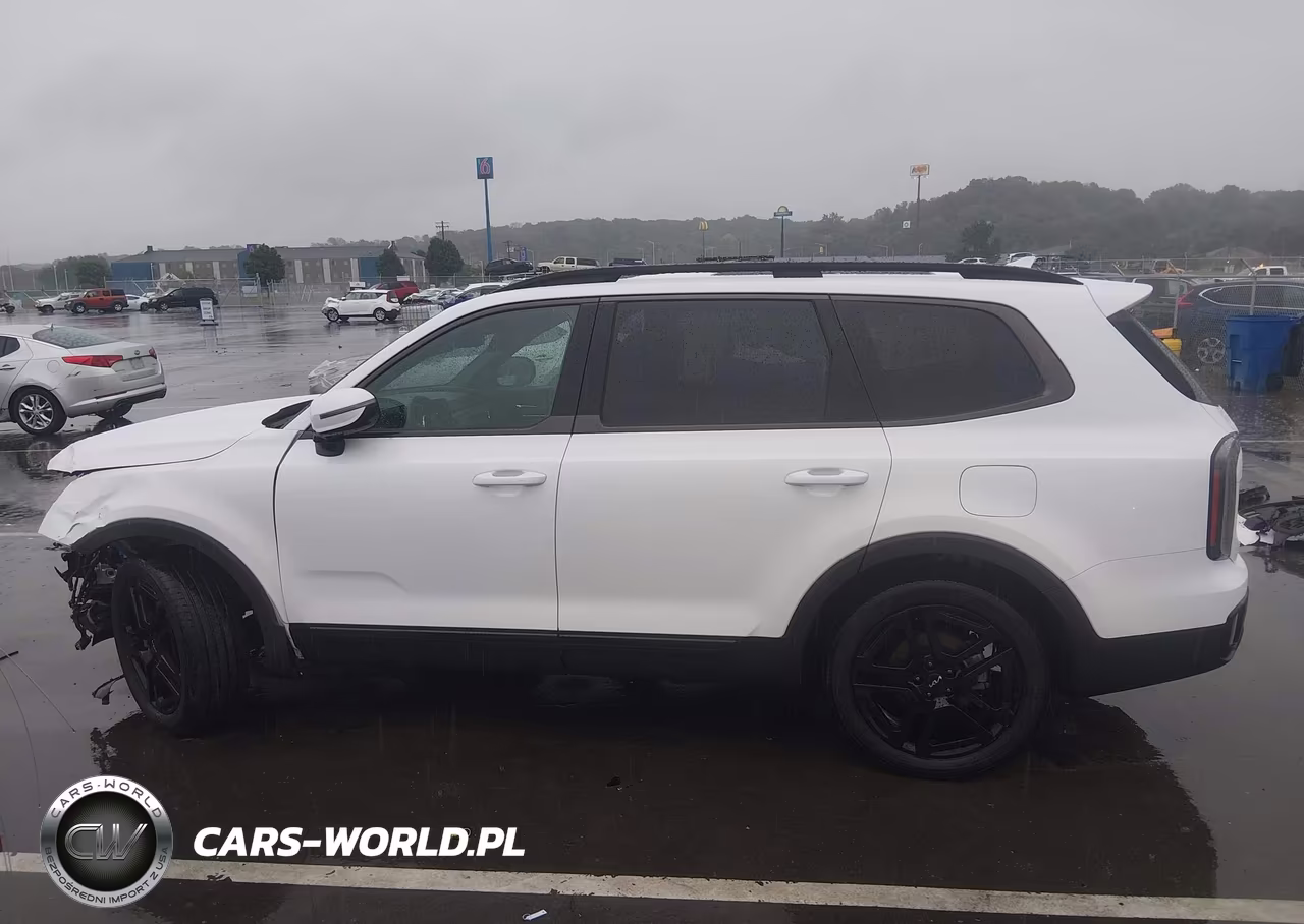 2024 Kia Telluride Sx X-Line VIN:5XYP5DGC4RG502833 - 15