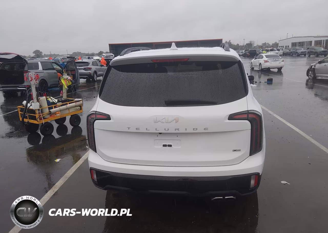 2024 Kia Telluride Sx X-Line VIN:5XYP5DGC4RG502833 - 17