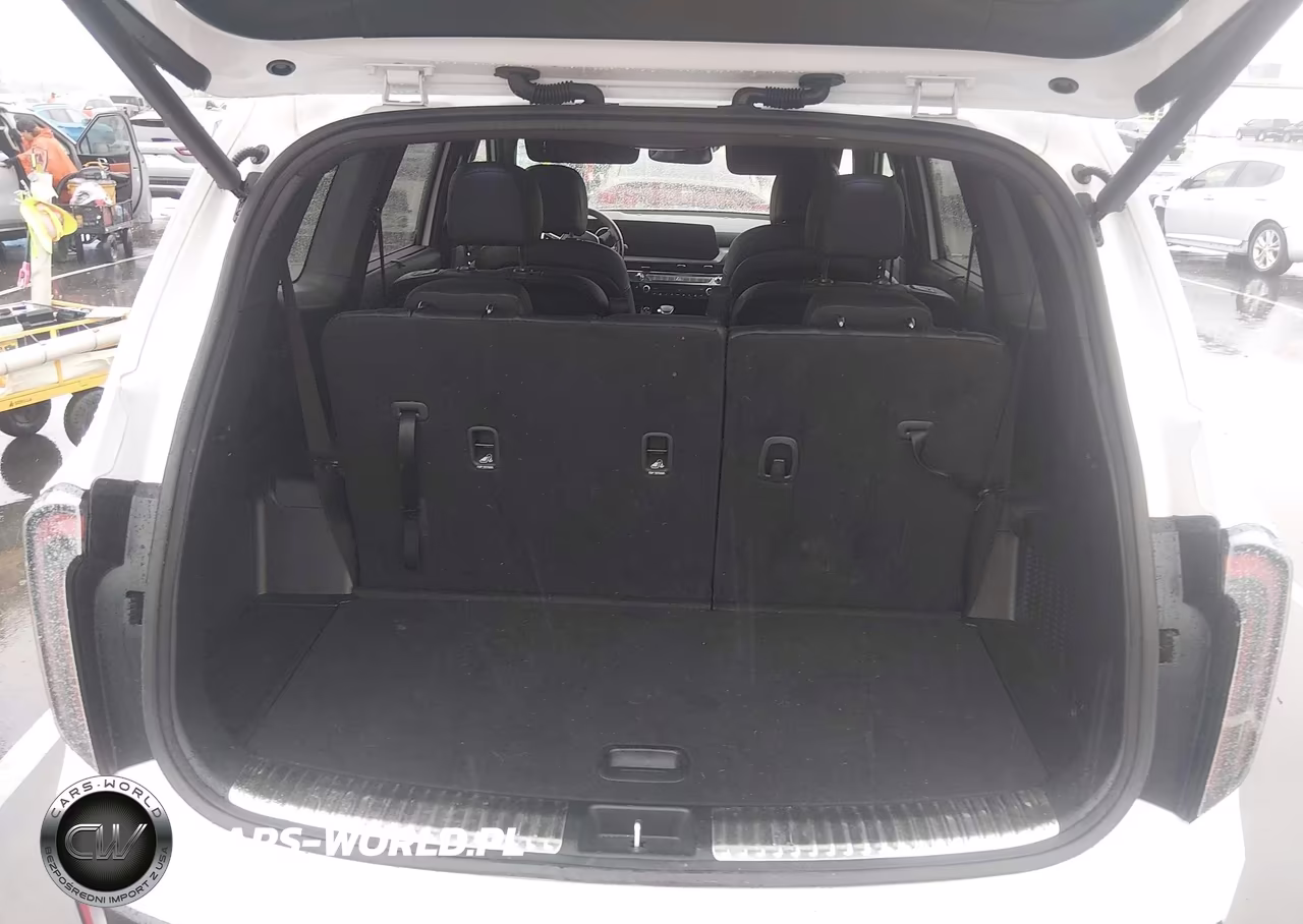 2024 Kia Telluride Sx X-Line VIN:5XYP5DGC4RG502833 - 18