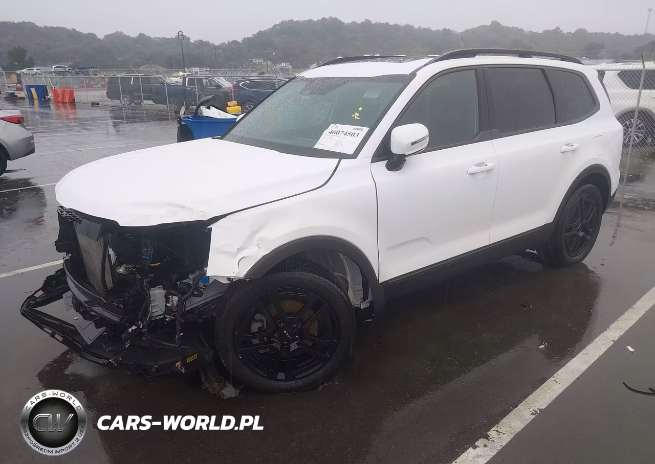 2024 Kia Telluride Sx X-Line VIN:5XYP5DGC4RG502833 - 2