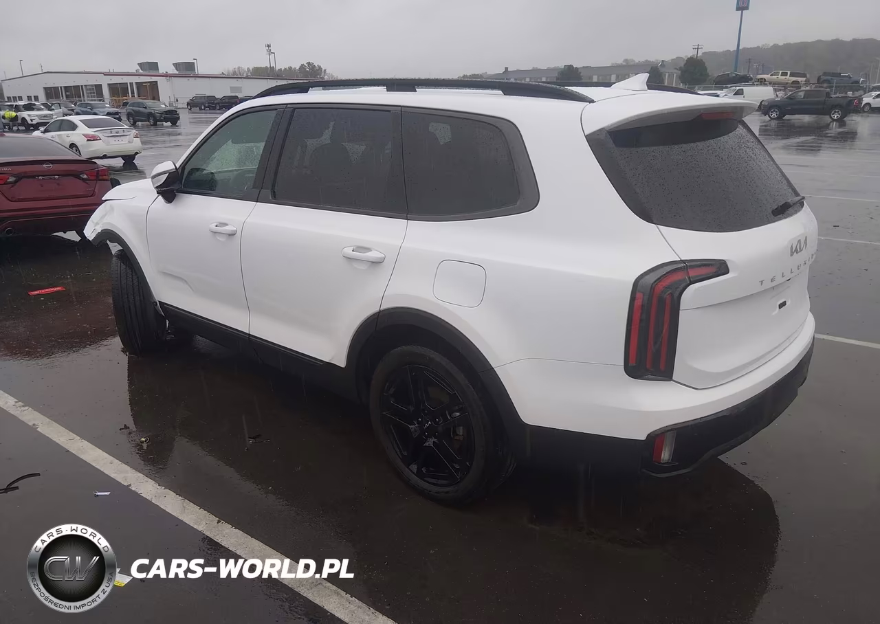 2024 Kia Telluride Sx X-Line VIN:5XYP5DGC4RG502833 - 3