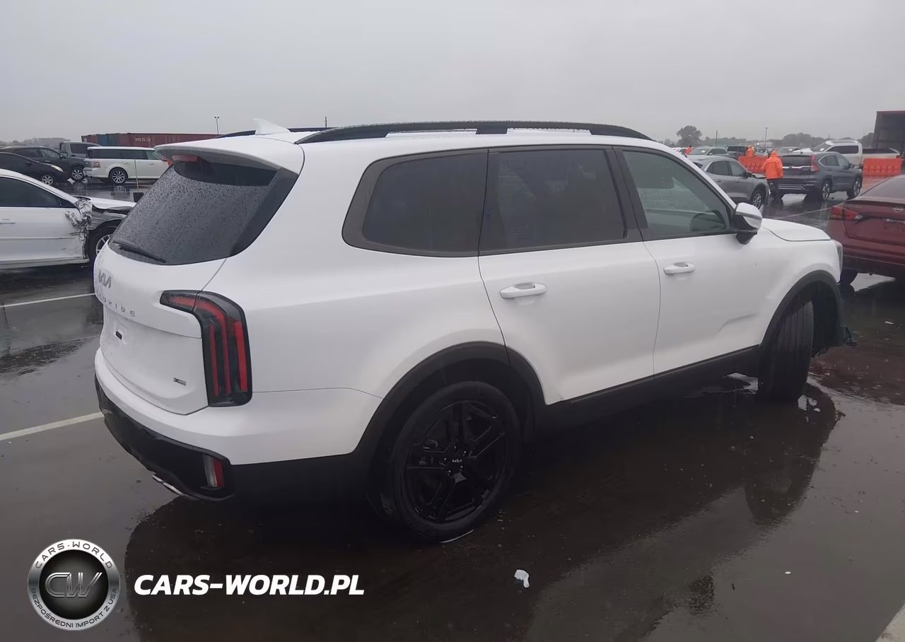 2024 Kia Telluride Sx X-Line VIN:5XYP5DGC4RG502833 - 4
