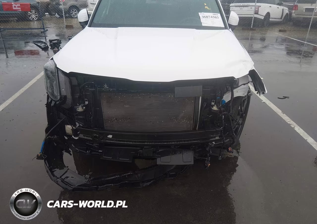 2024 Kia Telluride Sx X-Line VIN:5XYP5DGC4RG502833 - 6
