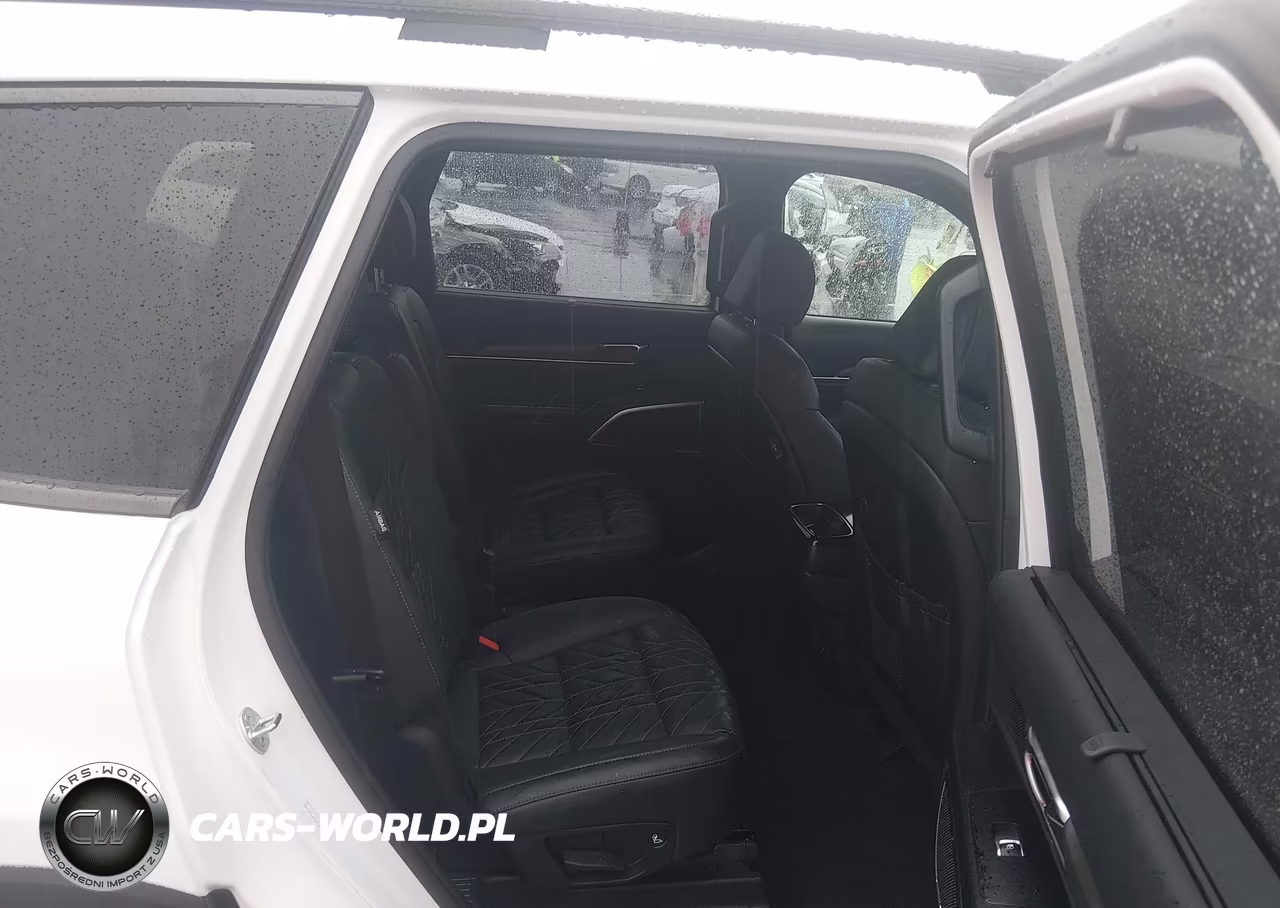 2024 Kia Telluride Sx X-Line VIN:5XYP5DGC4RG502833 - 8