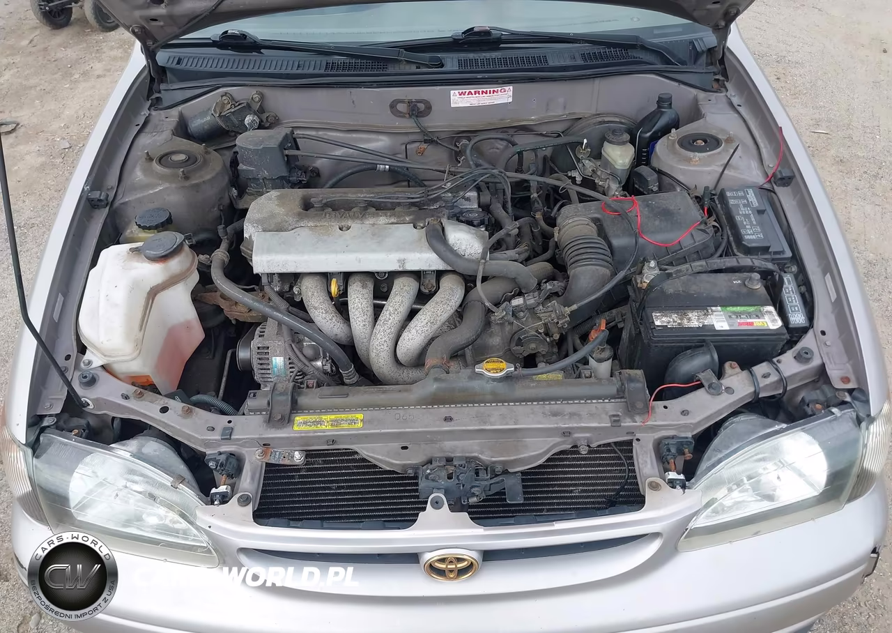 1998 Toyota Corolla Le VIN:2T1BR18E4WC005429 - 10