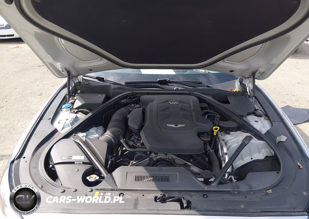 2017 Genesis G80 3.8 VIN:KMHGN4JE6HU180666 - 10