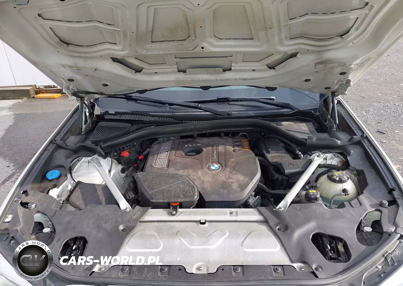 2019 BMW X3 Sdrive30I VIN:5UXTR7C55KLF31295 - 10