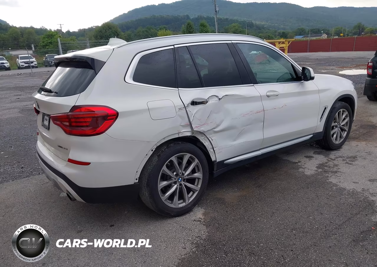 2019 BMW X3 Sdrive30I VIN:5UXTR7C55KLF31295 - 4