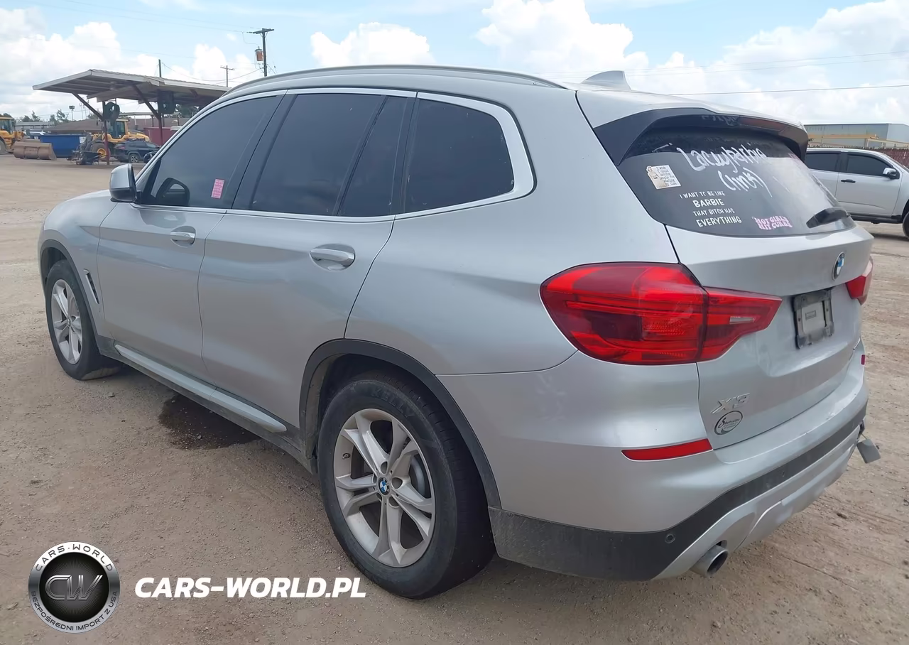 2019 BMW X3 Sdrive30I VIN:5UXTR7C58KLF30397 - 3