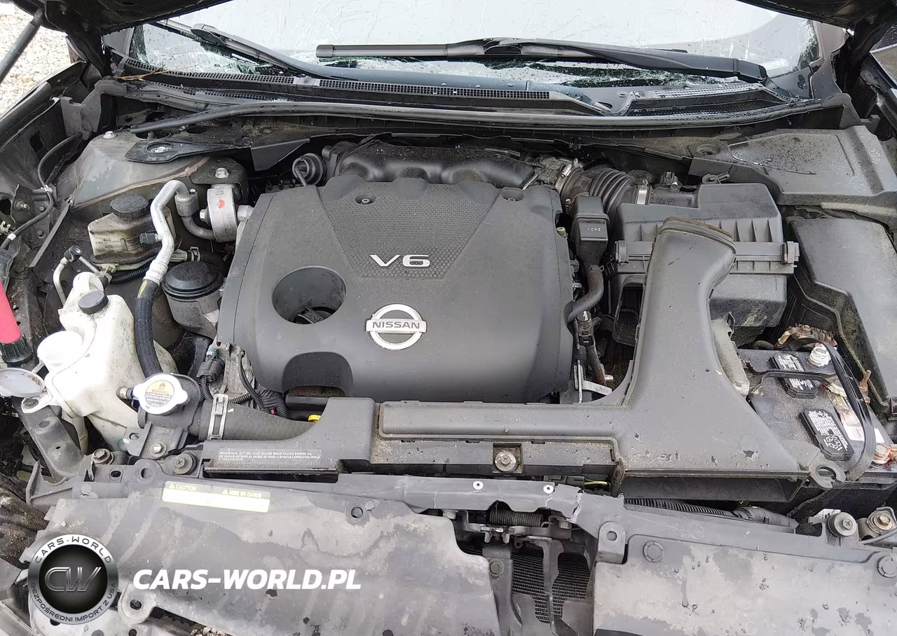 2013 Nissan Maxima 3.5 Sv VIN:1N4AA5AP8DC810917 - 10