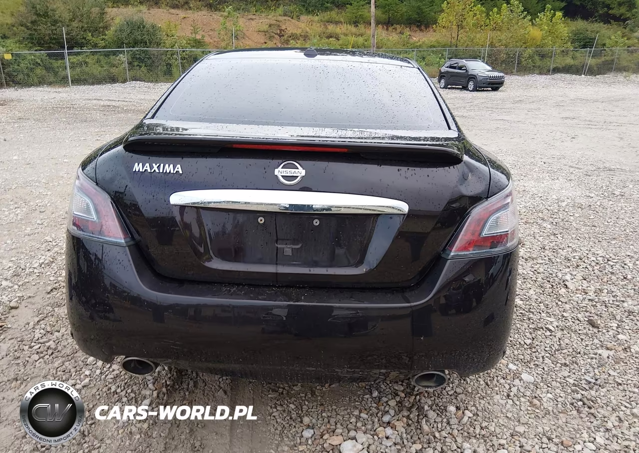 2013 Nissan Maxima 3.5 Sv VIN:1N4AA5AP8DC810917 - 17