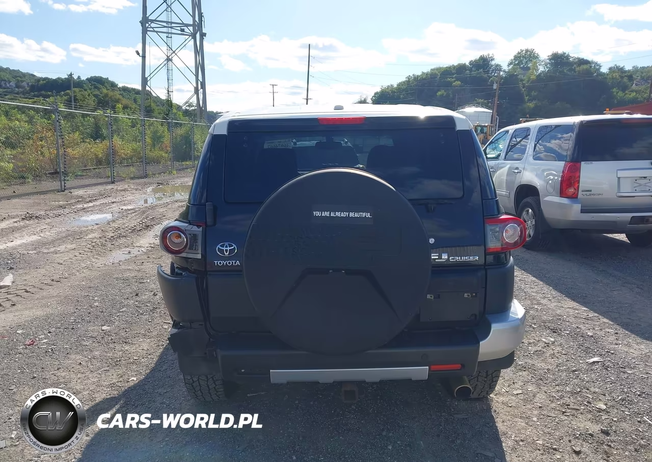 2012 Toyota Fj Cruiser VIN:JTEBU4BF1CK146501 - 16