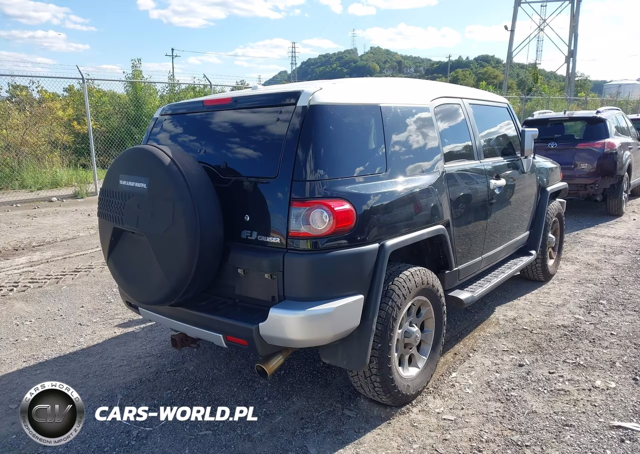 2012 Toyota Fj Cruiser VIN:JTEBU4BF1CK146501 - 4