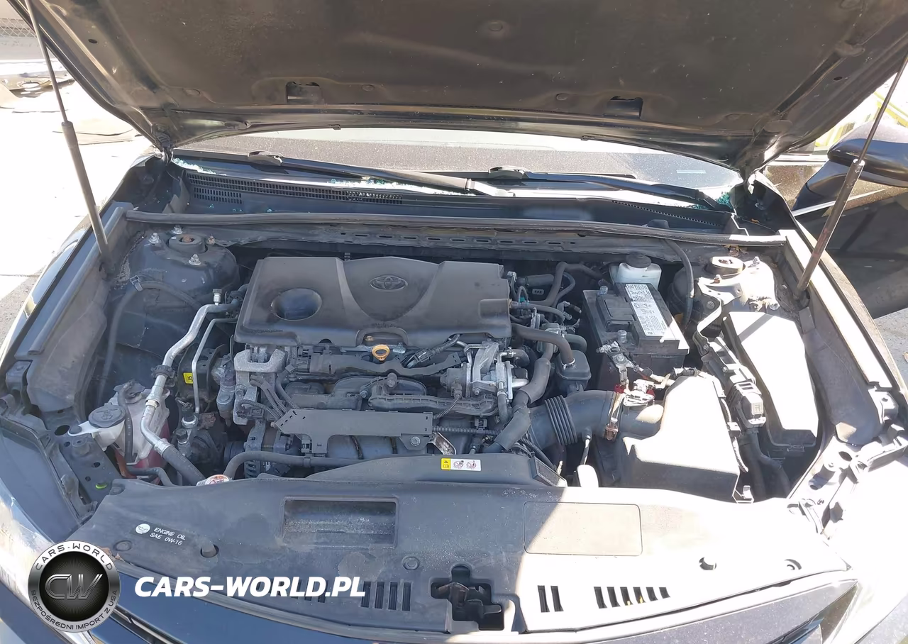 2020 Toyota Camry Le VIN:4T1C11AK4LU337554 - 10