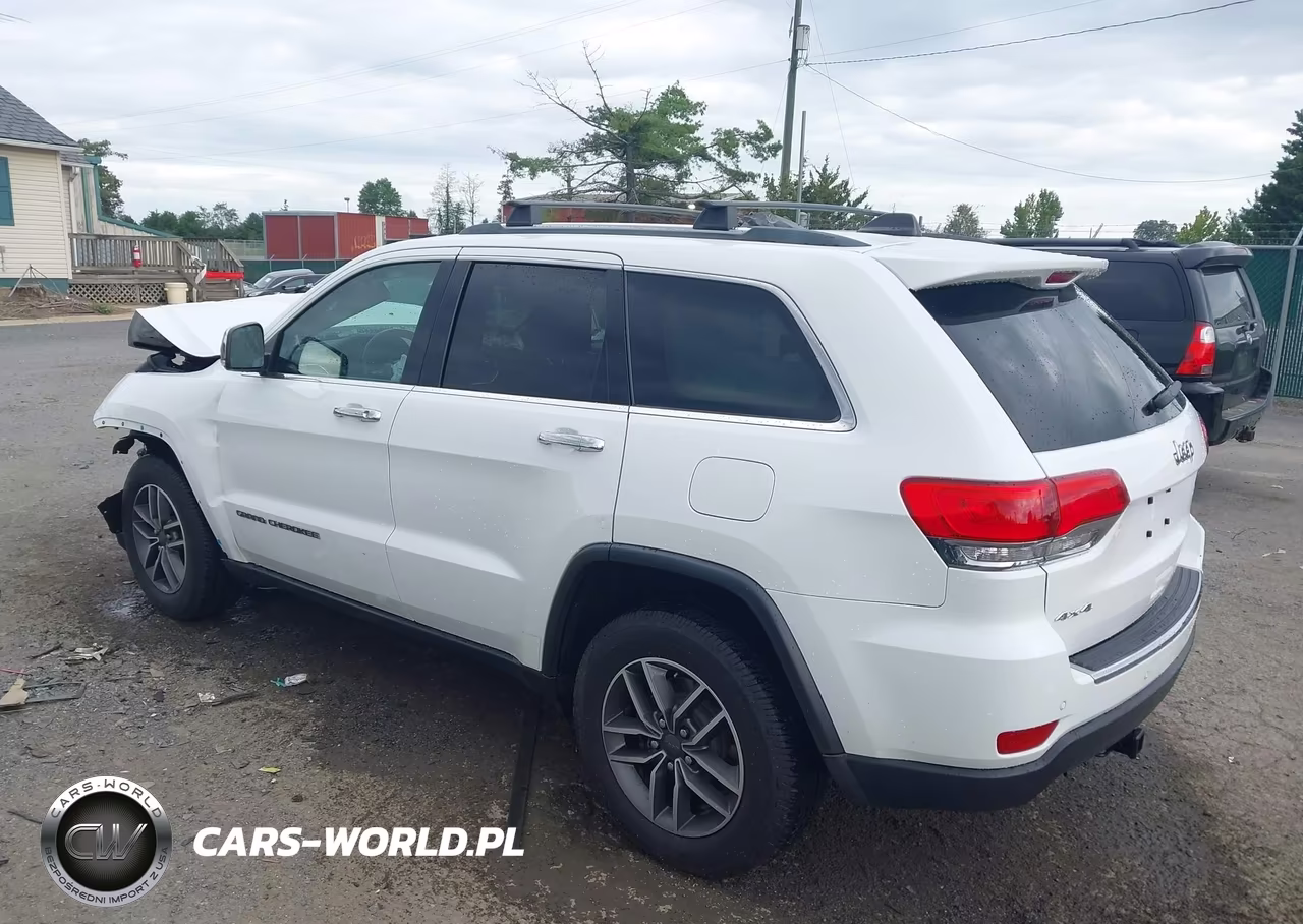 2019 Jeep Grand Cherokee Limited 4X4 VIN:1C4RJFBG0KC552391 - 3