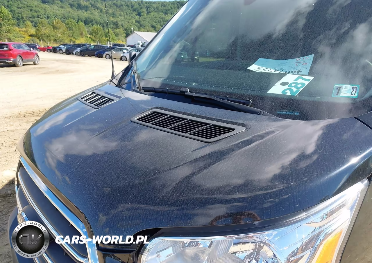 2020 Ford Transit-350 Cargo Van VIN:1FTBW3X87LKB65816 - 18