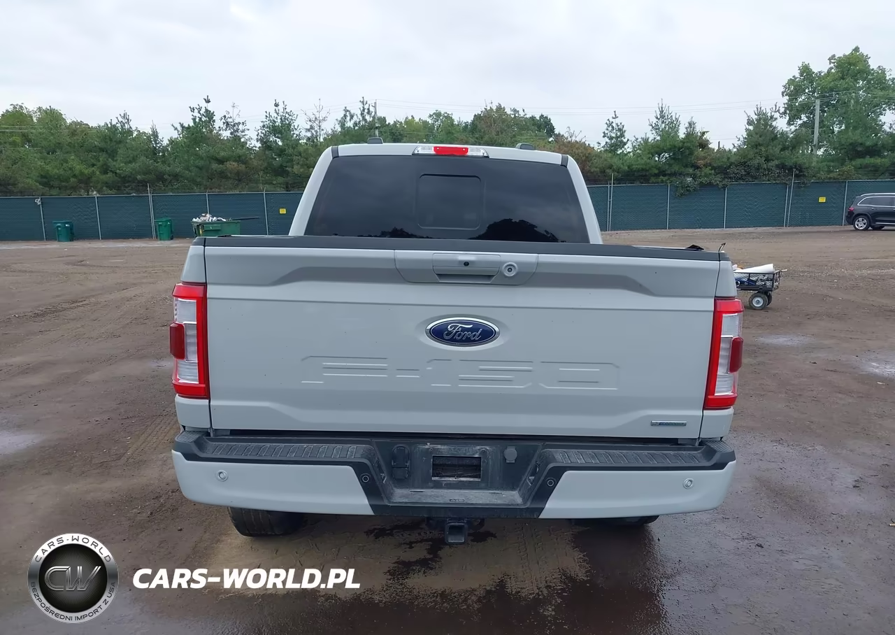 2023 Ford F-150 Lariat VIN:1FTEW1EP0PKF64892 - 17
