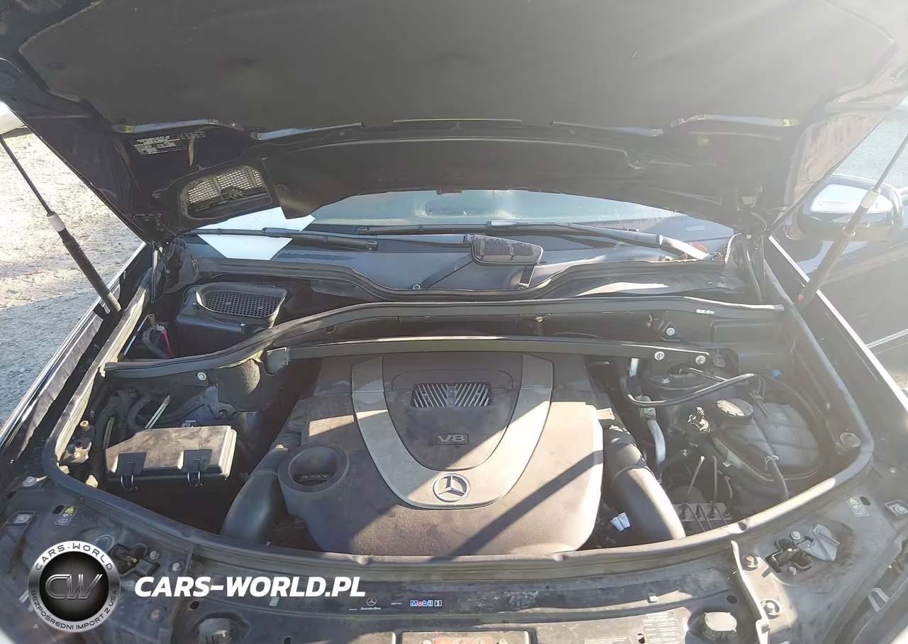 2009 Mercedes-Benz Gl 450 4Matic VIN:4JGBF71E29A472648 - 10