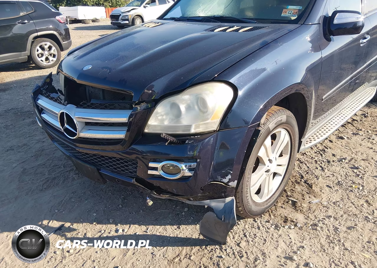 2009 Mercedes-Benz Gl 450 4Matic VIN:4JGBF71E29A472648 - 12