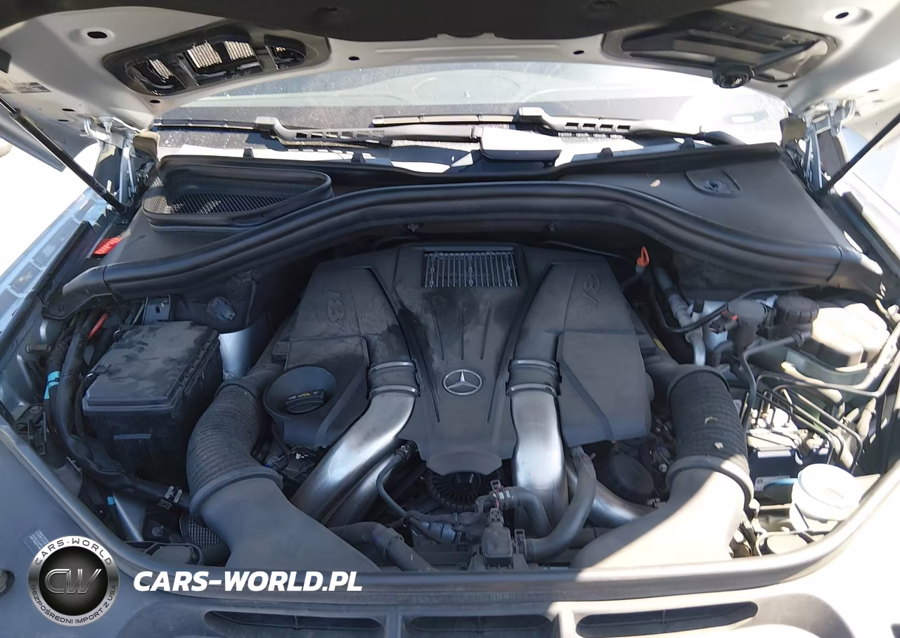 2013 Mercedes-Benz Gl 450 4Matic VIN:4JGDF7CE1DA176342 - 10