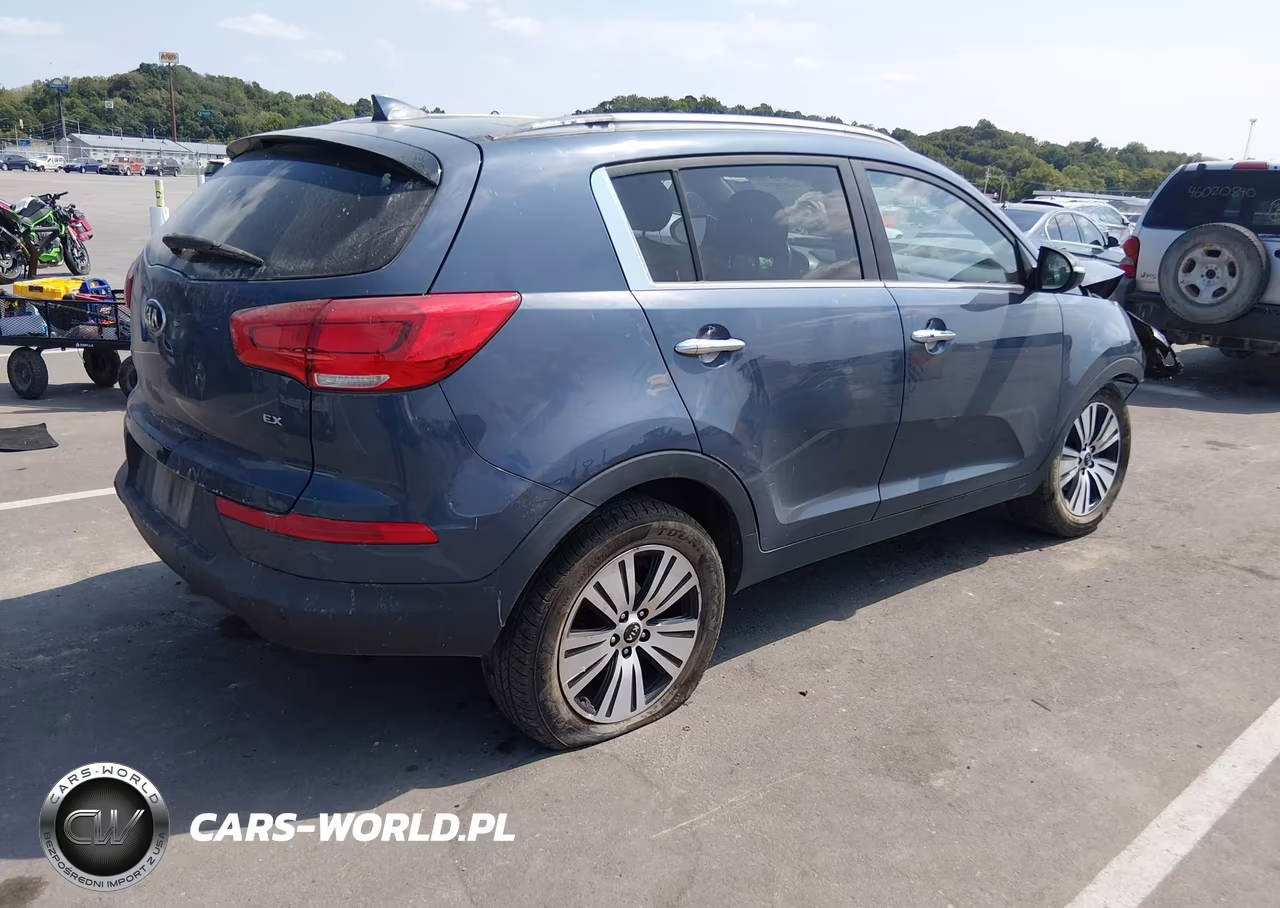 2016 Kia Sportage Ex VIN:KNDPC3ACXG7871148 - 4