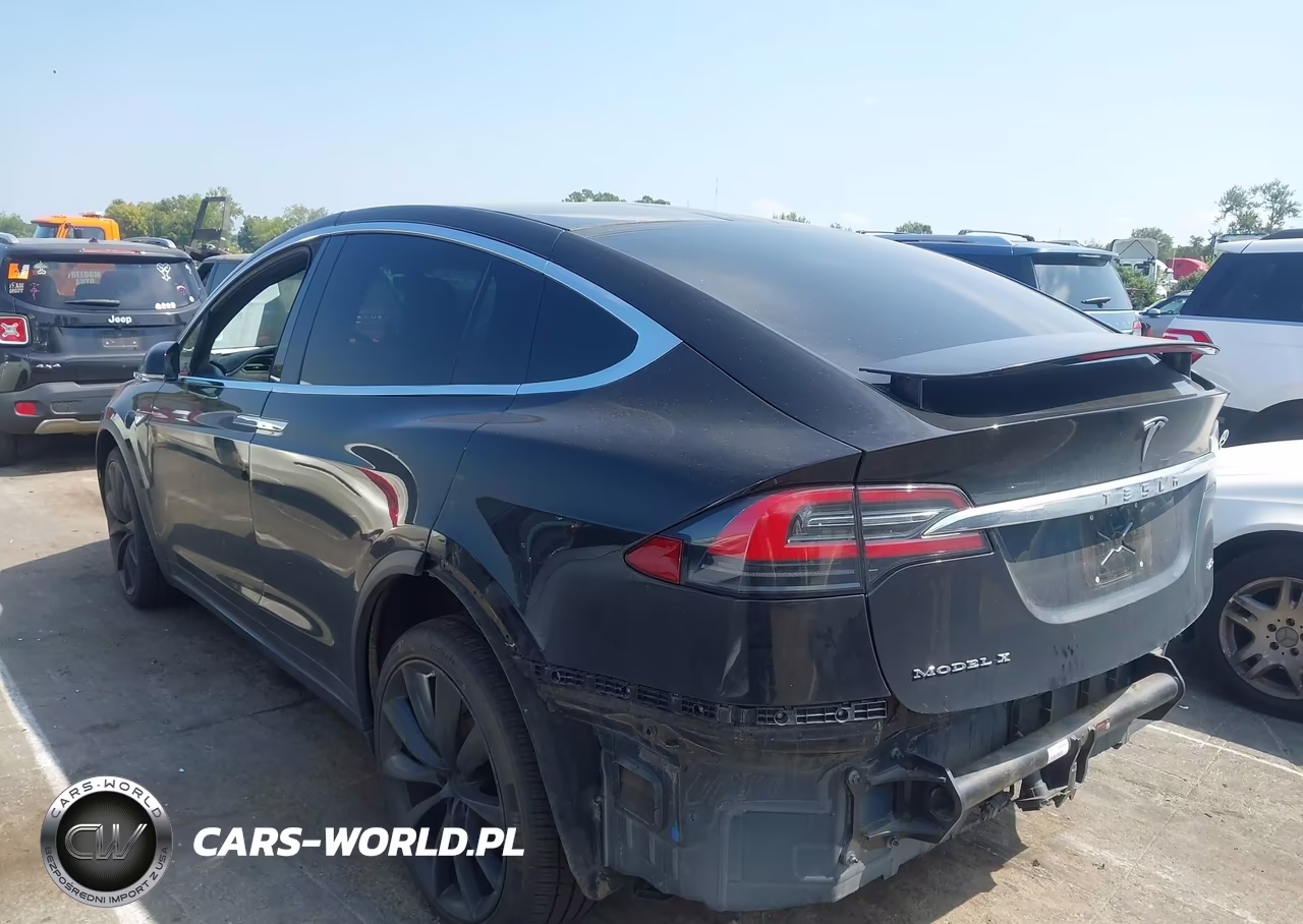 2016 Tesla Model X 60D-70D-75D-90D VIN:5YJXCAE21GF008870 - 13