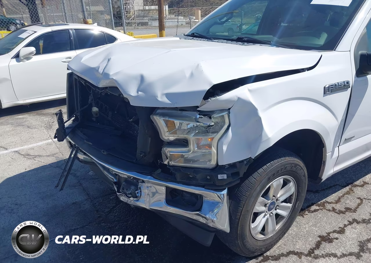 2017 Ford F-150 Xlt VIN:1FTEW1CP2HKC36393 - 12