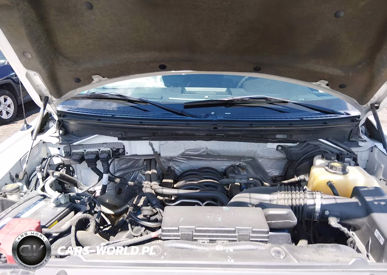 2013 Ford F-150 Fx4 VIN:1FTFW1EF2DFA84966 - 10